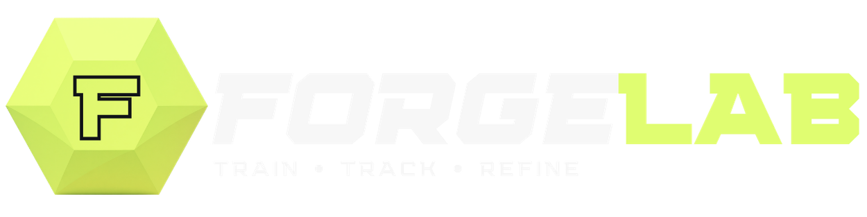 ForgeLab - Train, Track, Refine